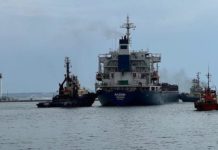 First grain ship leaves Ukraine under Russia deal
