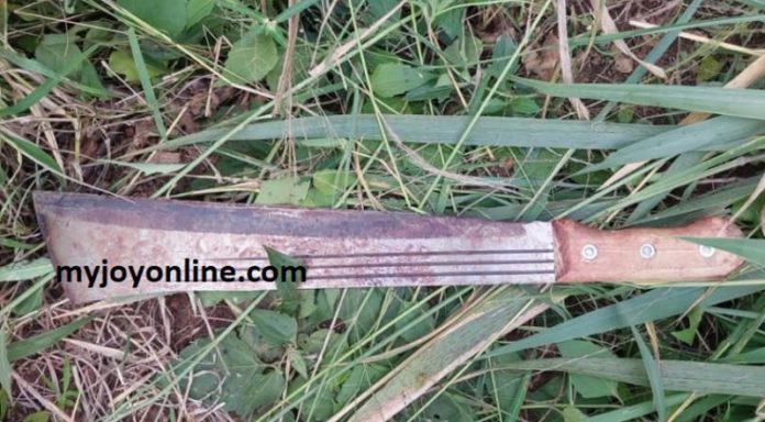 Rashid-Ibrahim-machete-769x424 (Copy)