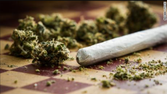 Weed Cannabis / Credit: Graphic.com.gh