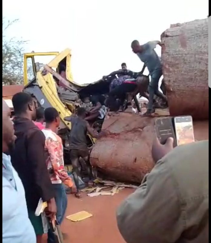 Truck driver crashed to death by timber log