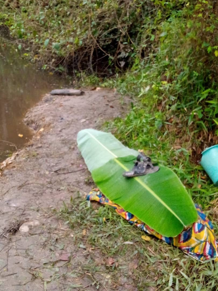 Akufo-Addo drowns