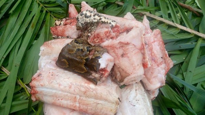 snake-meat_1680x944