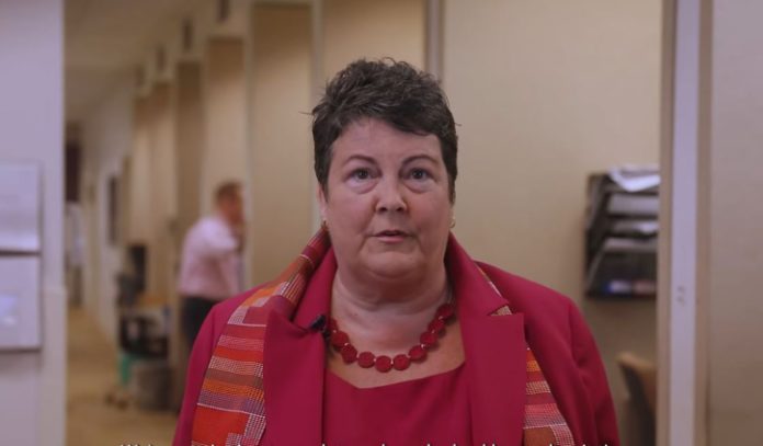 US-Ambassador-Virginia-Palmer-725x424