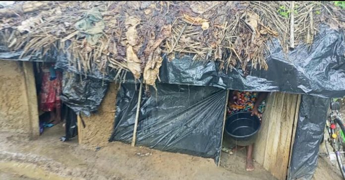 Family of 5 forced to live in hen coop over unpaid rent