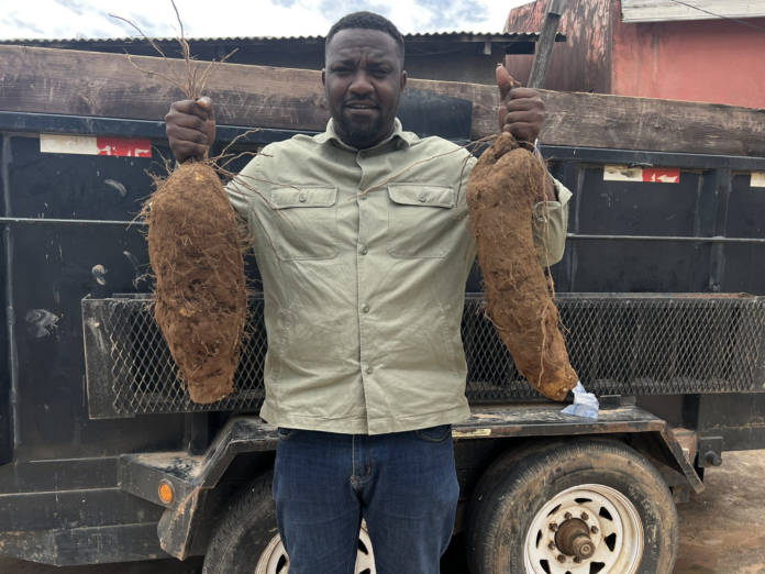 Photos of John Dumelo's bumper harvest excite Ghanaians