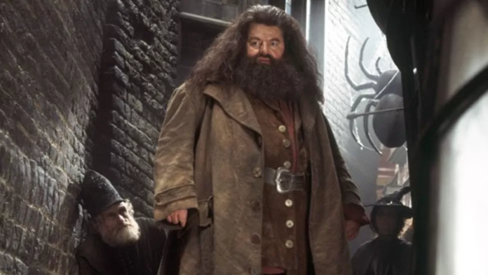 Robbie Coltrane was well known for playing Hagrid in the Harry Potter films Photo credit: Warner Bros