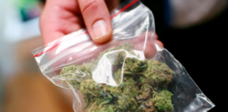 It could soon be legal to posses up to 15 grams of cannabis in Berlin -- a street value of more than 120. Foto: ROBERT GALBRAITH/ REUTERS