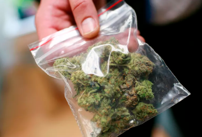 Cannabis It could soon be legal to posses up to 15 grams of cannabis in Berlin -- a street value of more than 120. Foto: ROBERT GALBRAITH/ REUTERS