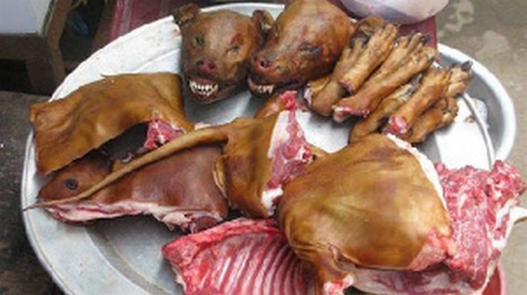 Dr. Clement Apaak defends dog and cat meat consumption amid criticism