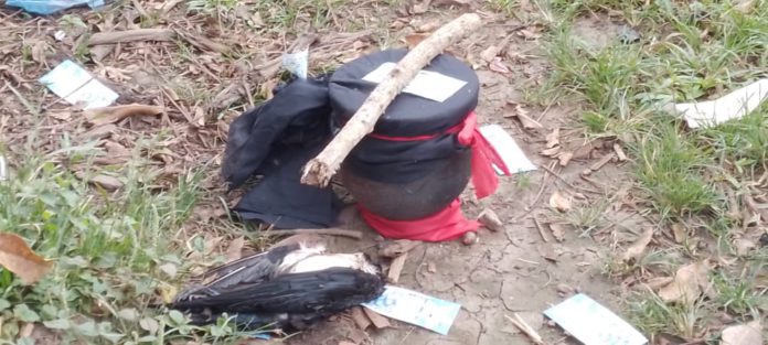 Pot with snake and headless vulture discovered in Sehwi Essam market