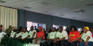 Dr Bawumia watching Black Stars game against Portugal