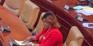 Adwoa Safo in parliament