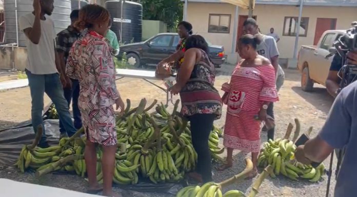 MOFA foodstuffs market MOFA foodstuffs market