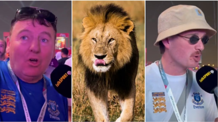 Two England fans at the FIFA World Cup in Qatar claim they ended up at a sheikh's palace with a lion while in search of beer. Photo credit: @talkSPORTTwo England fans at the FIFA World Cup in Qatar claim they ended up at a sheikh's palace with a lion while in search of beer. Photo credit: @talkSPORT