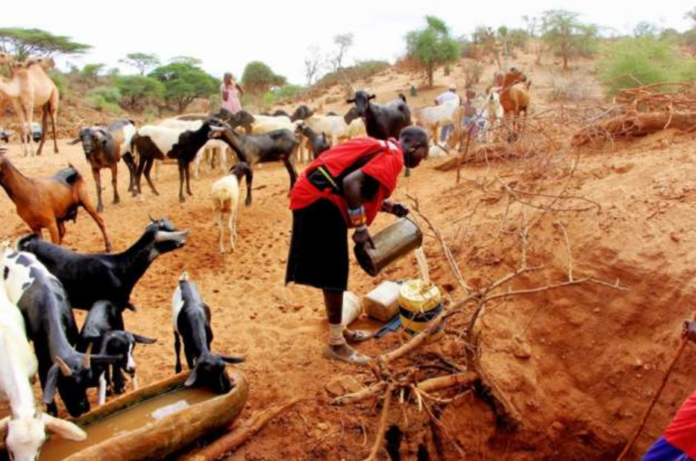 Millions of Kenyans are affected by the drought ravaging many parts of the country/ Getty Images