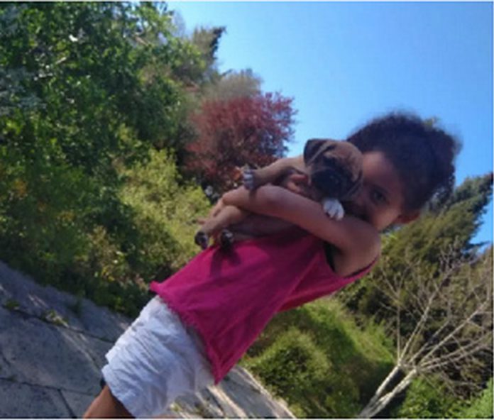Julia is a young girl who loves animals Julia is a young girl who loves animals