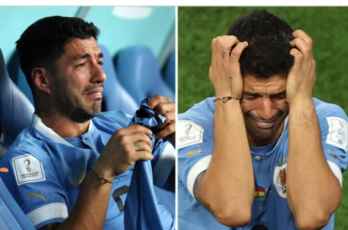 Luis Suarez Luis Suarez