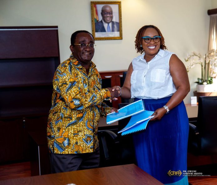 Dr Afriyie Akoto and Hawa Koomson