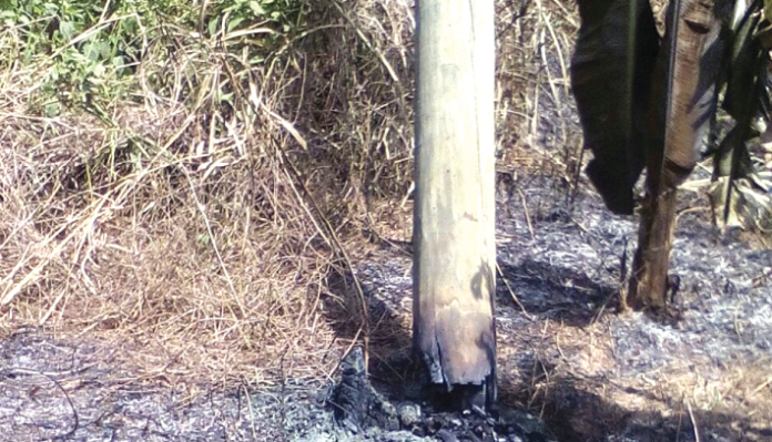 ECG power pole