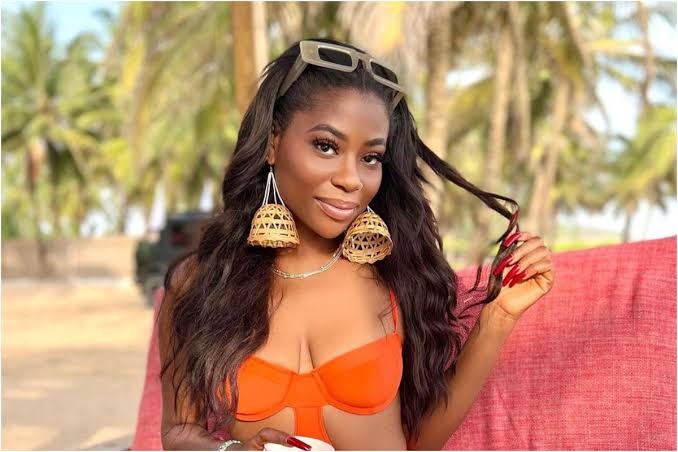Davido's baby mama, Sophia Momodu
