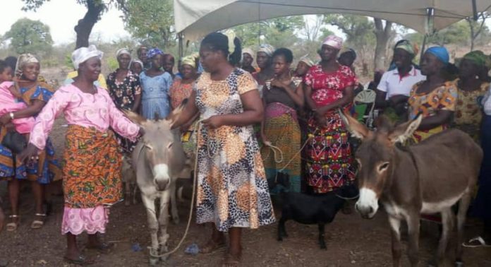UDS lecturer donates donkeys, goats to women in Upper East