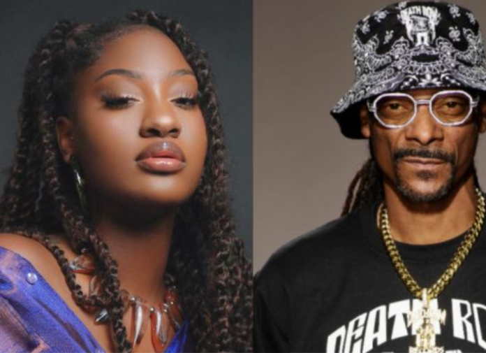 Tems & Snoop Dogg Tems & Snoop Dogg