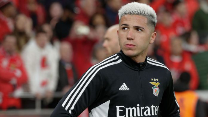 Enzo Fernandez Enzo Fernandez