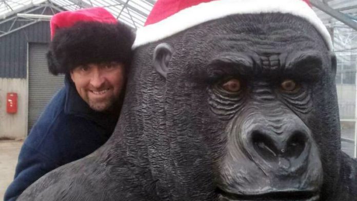 Owner Andrew Scott with Gary the gorilla source: mirroruk Owner Andrew Scott with Gary the gorilla source: mirroruk