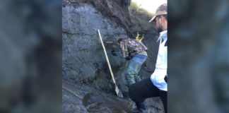 Cores of earth drilled from Siberian permafrost have been analyzed to detect frozen viruses. Jean-Michel Claverie/IGS/CNRS-AM