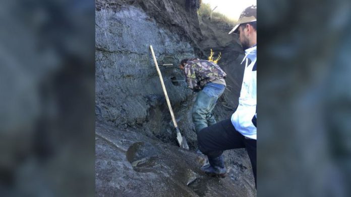 Cores of earth drilled from Siberian permafrost have been analyzed to detect frozen viruses. Jean-Michel Claverie/IGS/CNRS-AM Cores of earth drilled from Siberian permafrost have been analyzed to detect frozen viruses. Jean-Michel Claverie/IGS/CNRS-AM
