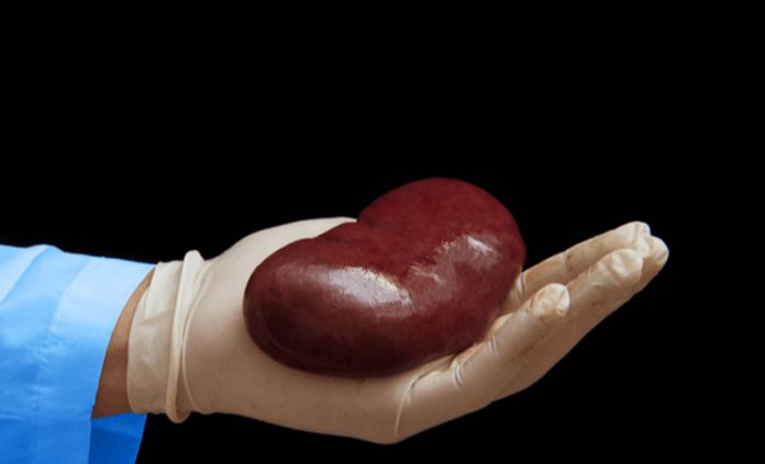 Kidney Kidney-Transplant-Care source: https://accordhospitals.co.in/