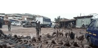 Victims of the military brutalities in Ashaiman herded together, beaten and forced to roll and exercise in mud.