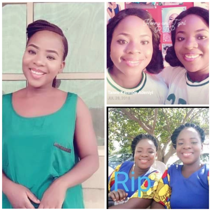 Nigeria twins