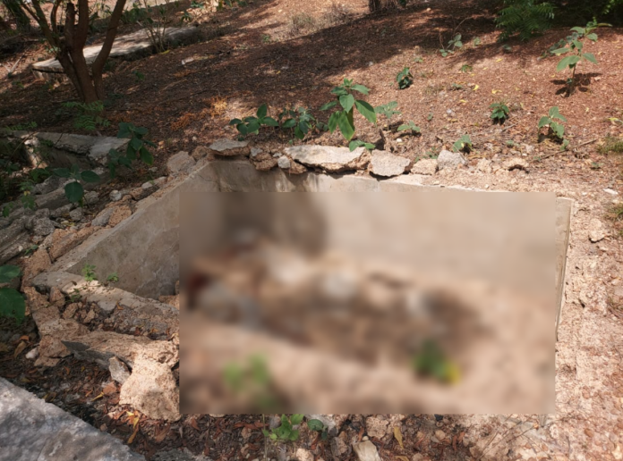 Dormaa Ahenkuro grave looting