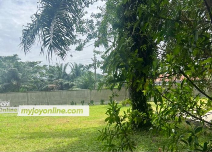 Akufo-Addo-Kpebi-home-6-592x424 (Copy) Akufo-Addo’s Kyebi garden