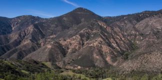 Trevor Jacob crashed his plane into the Los Padres mountains in 2021