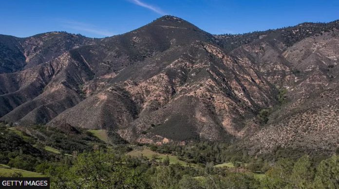 Trevor Jacob crashed his plane into the Los Padres mountains in 2021 Trevor Jacob crashed his plane into the Los Padres mountains in 2021