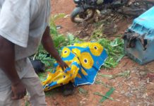 8-year-old drowns in River Adjei