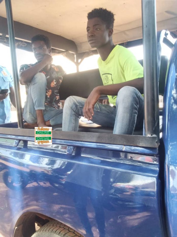 Tuna thieves