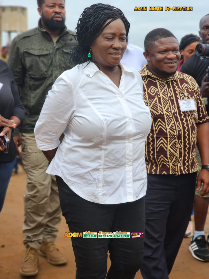 Professor Jane Naana Opoku-Agyemang