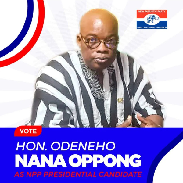 NPP flagbearer election