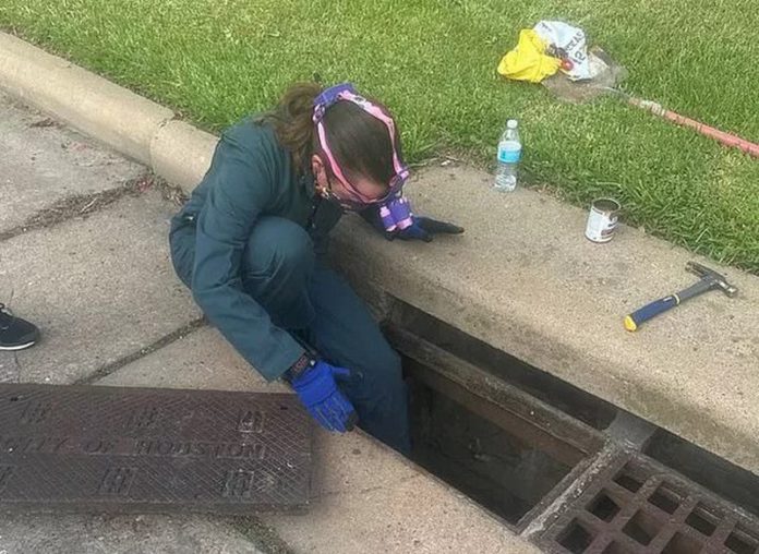 The city's stray animal problem remains a significant concern for animal advocates ( Image: Youtube/@KHOU11) The city's stray animal problem remains a significant concern for animal advocates ( Image: Youtube/@KHOU11)