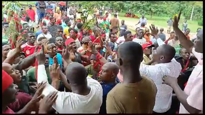 Agona Swedru sawmill operators Adomonline.com