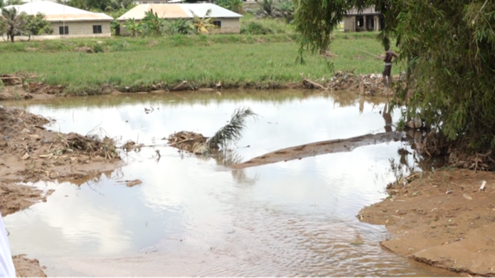 image-292 Floods of Trauma