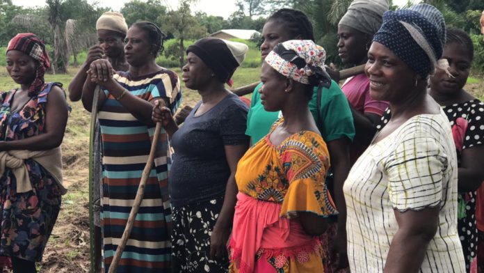 Farmers in Nkwanta South