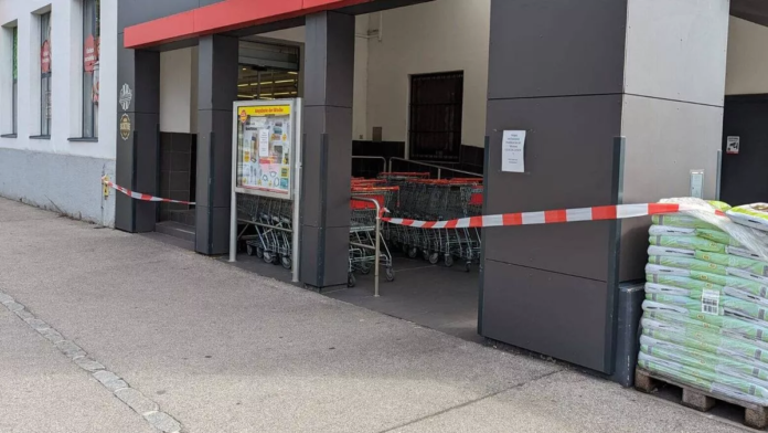 Supermarket shut down after spider capable of causing permanent erection is spotted