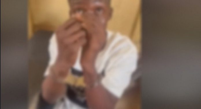 the houseboy suspect the houseboy suspect