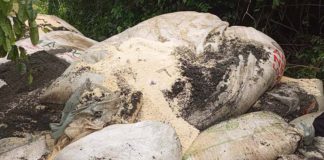 xplosives Retrieved at Another Quarry in Shama.