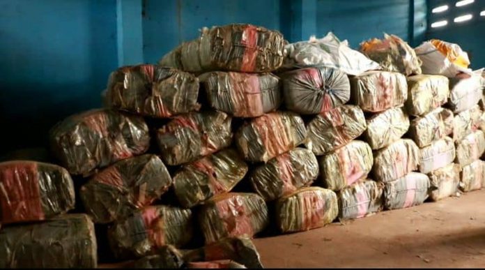 Indian hemp_1680x933