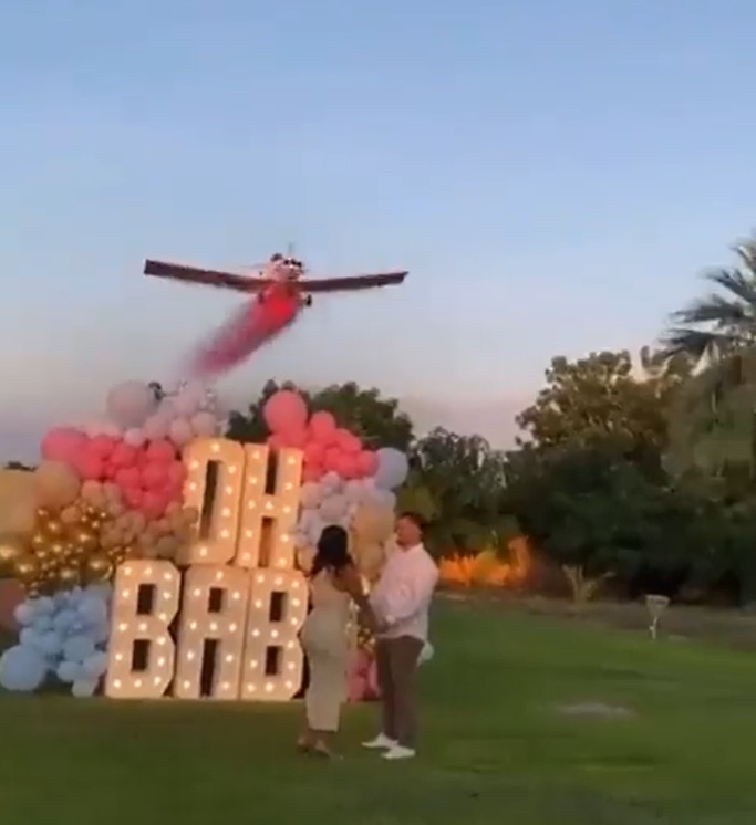 Pilot dies after his plane crashed during a gender reveal stunt